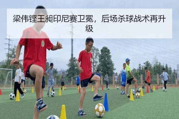 liang-wei-keng-wang-chang-yin-ni-sai-wei-mian-hou-chang-sha-qiu-zhan-shu-zai-sheng-ji-2-543.jpg
