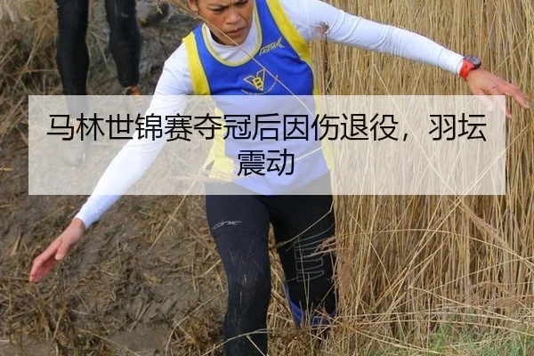 马林世锦赛夺冠后因伤退役，羽坛震动