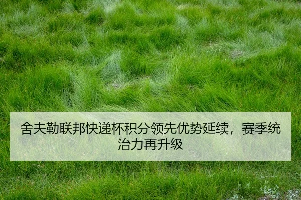 she-fu-lei-lian-bang-kuai-di-bei-ji-fen-ling-xian-you-shi-yan-xu-sai-ji-tong-zhi-li-zai-sheng-ji-1-682.jpg